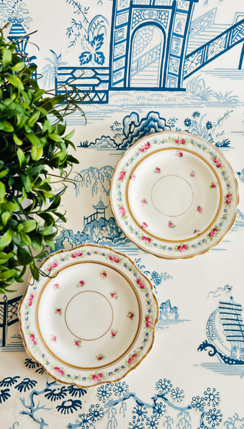 Set of 2 Royal Cauldon Salad Plates | Free Shipping!