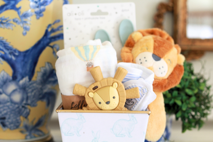 Baby Boy Gift Basket | Blue Bunny Cachepot